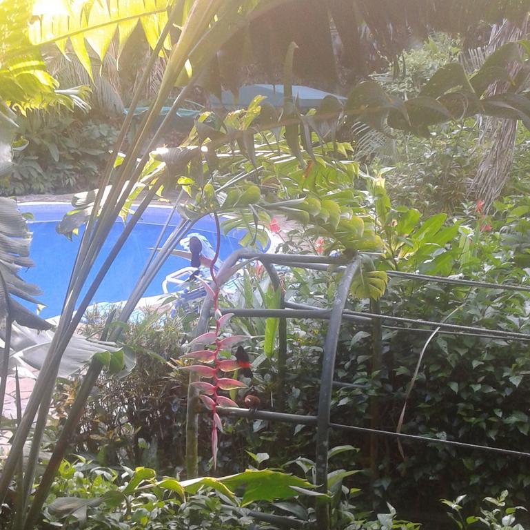 Jungle Villa Manuel Antonio Eksteriør billede