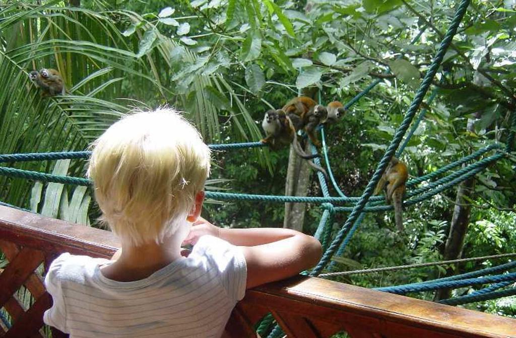 Jungle Villa Manuel Antonio Eksteriør billede