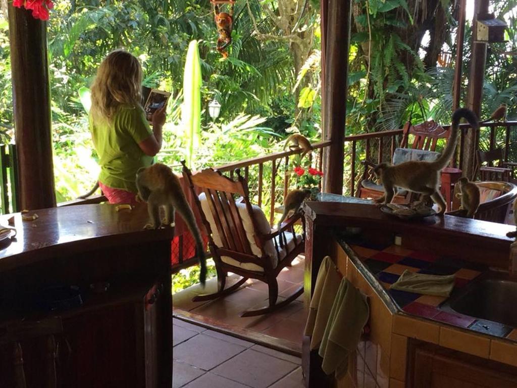 Jungle Villa Manuel Antonio Eksteriør billede