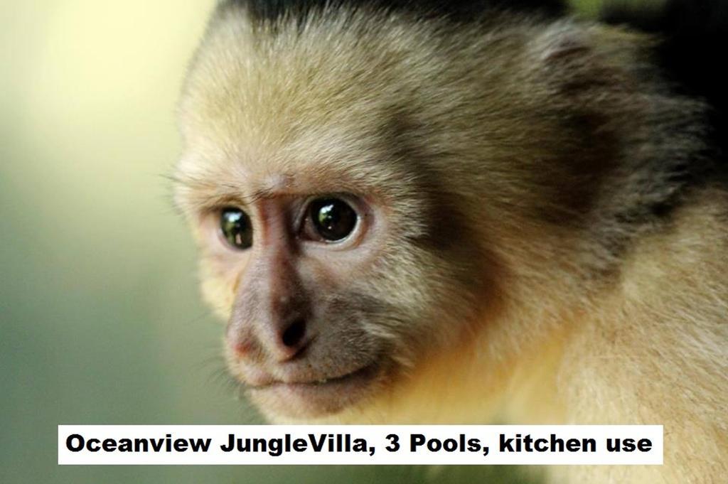 Jungle Villa Manuel Antonio Eksteriør billede