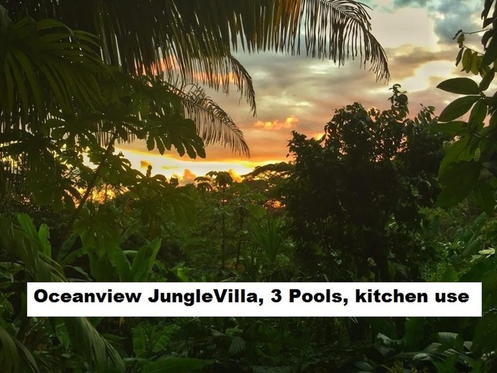Jungle Villa Manuel Antonio Eksteriør billede