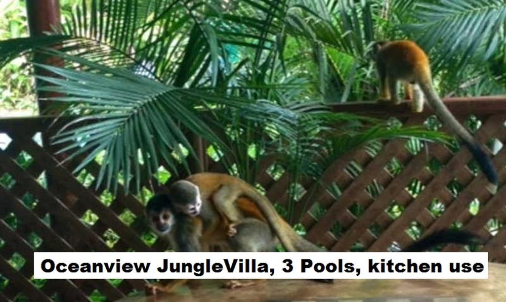 Jungle Villa Manuel Antonio Eksteriør billede