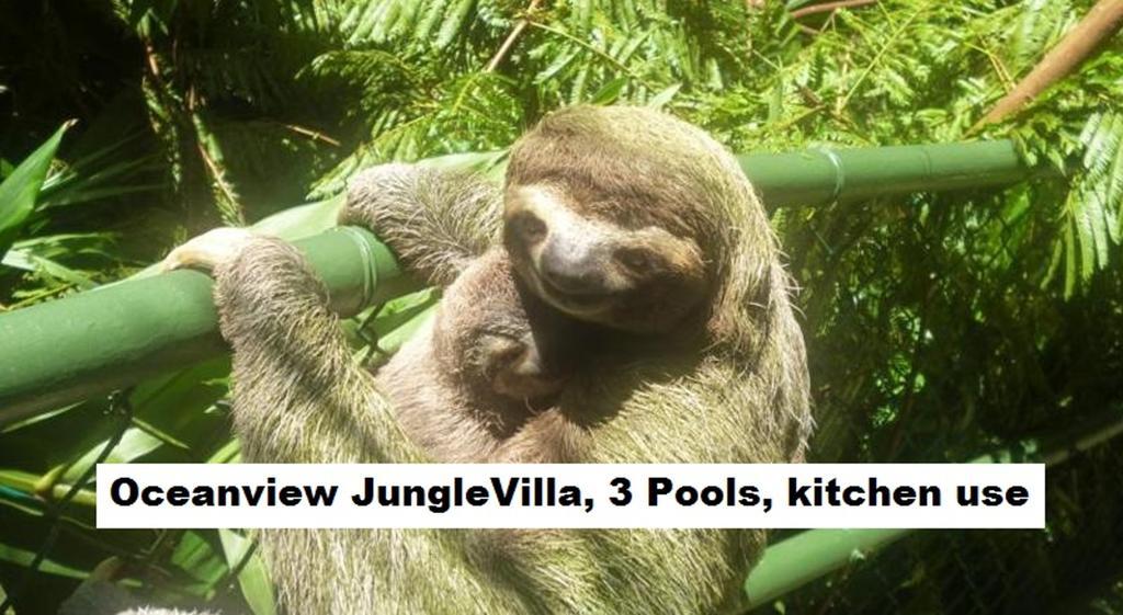 Jungle Villa Manuel Antonio Eksteriør billede